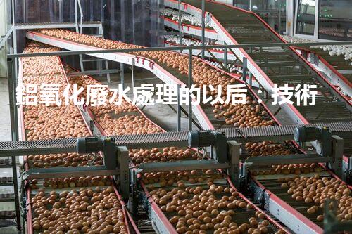 鋁氧化廢水處理的以后：技術(shù)革新與生態(tài)和諧？